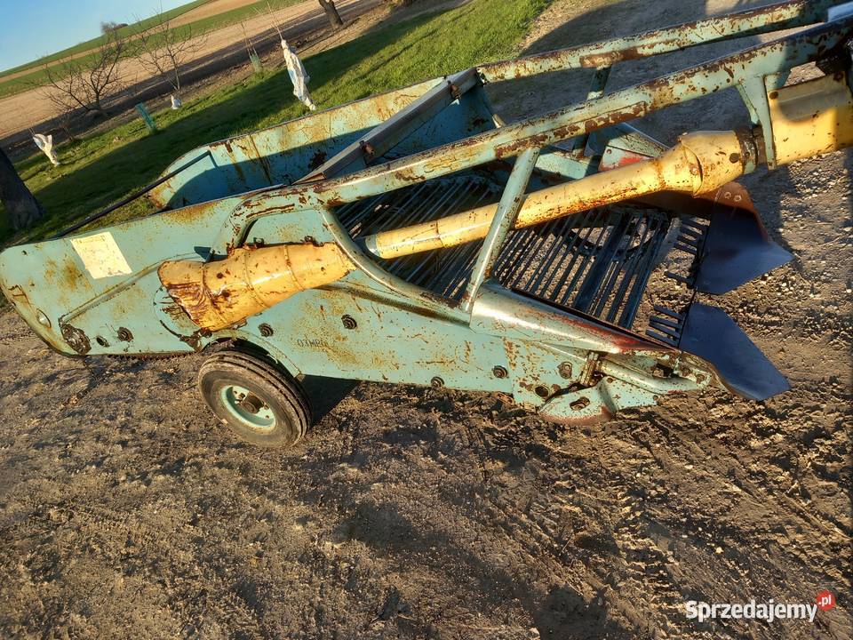 Koparka do ziemniaków lubelskie Łopiennik Dolny