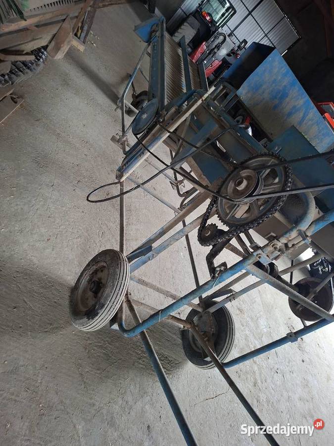 Sortownik do ziemniaków puck Radzyń Podlaski