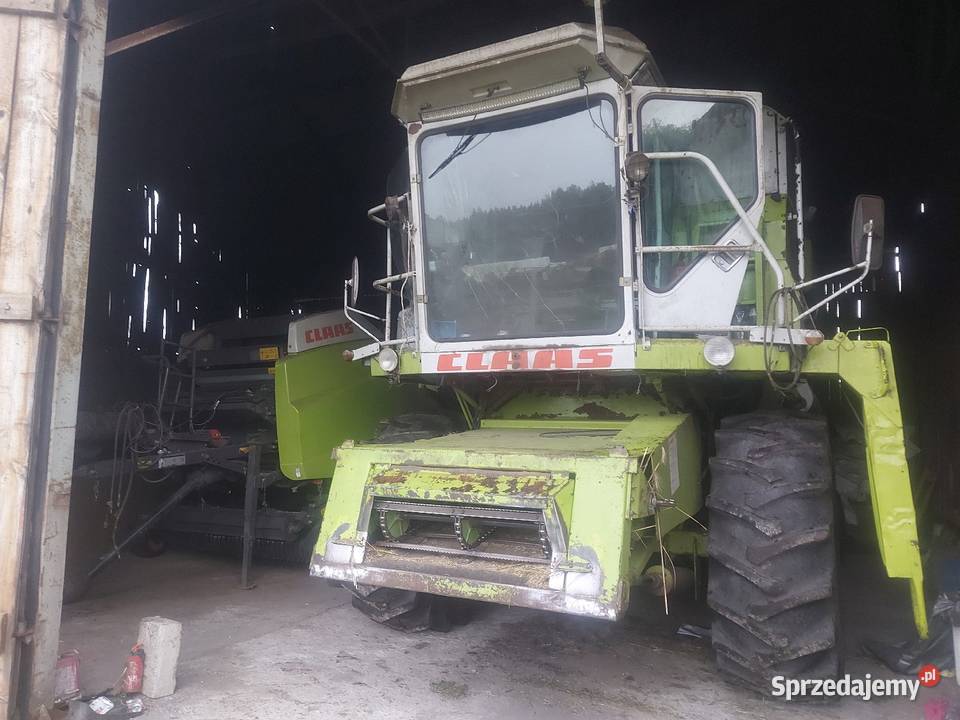 Class dominator 114 Lipka