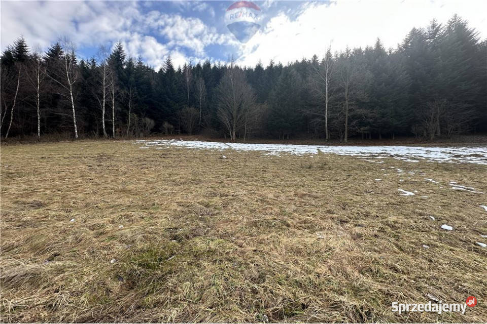 Duża działka 30 arów z 2 HA prywatnego lasu Las