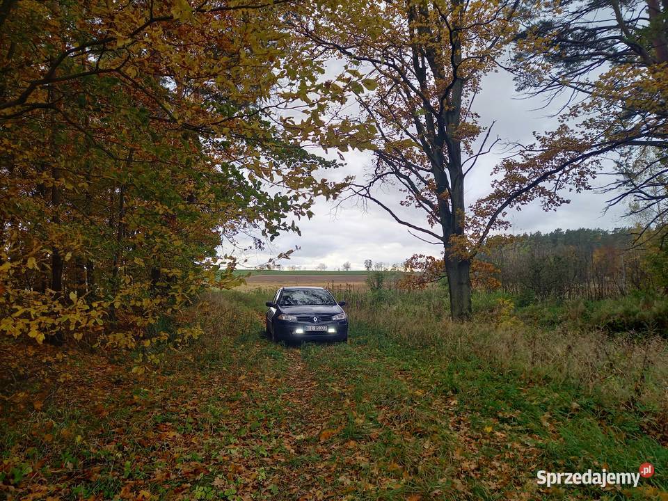 Renault Megane 2 14 16v 2003 PT OC bezproblemowe Susz