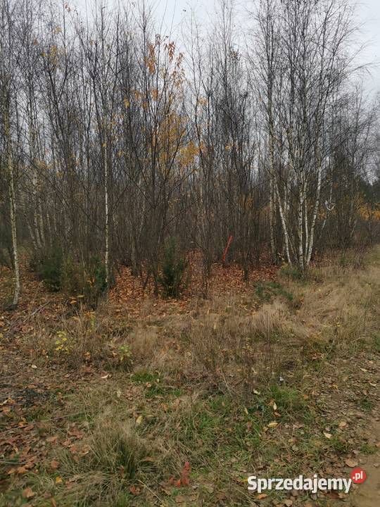 Działka budowlana z wz 750m2 Grabie Osada 7 Sprzedaż mazowieckie