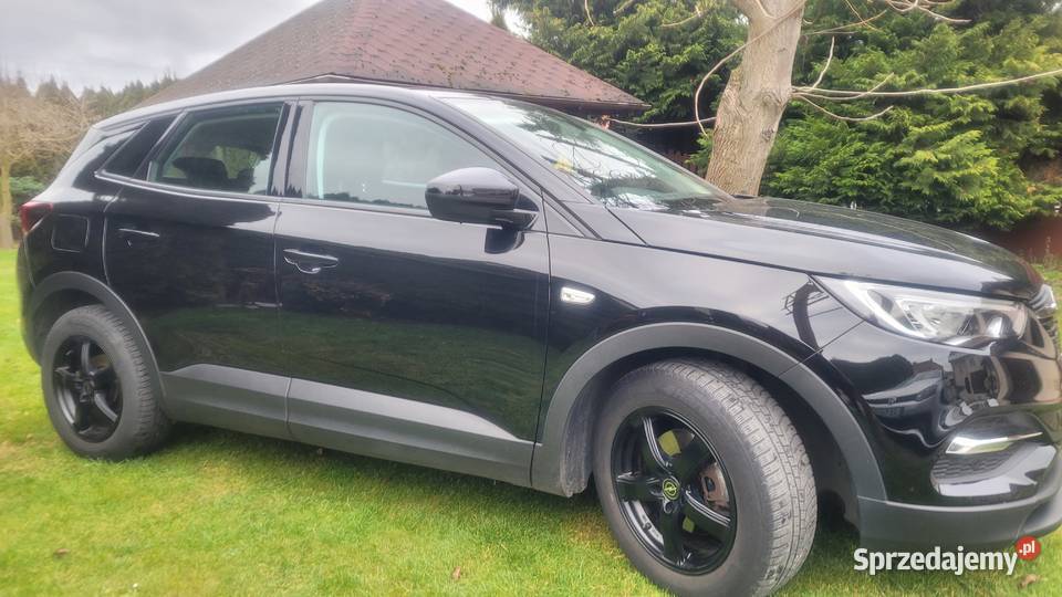 Opel Grandland X lubelskie