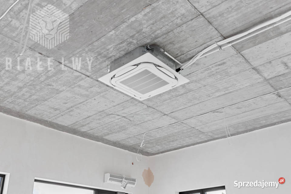 Lokal 4876m Prażmów Piotra Czołchańskiego Wynajem