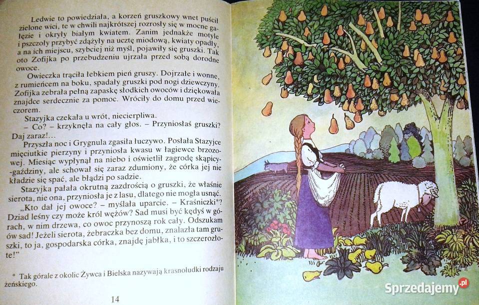 O Zofijce sierocie Kornelia Dobkiewiczowa Chełm sprzedam