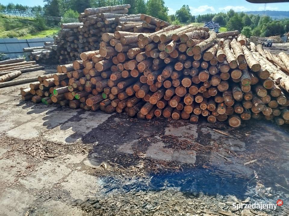 Deska modrzew 100x22 x 5000 4000 3000 Dom i Ogród sprzedam