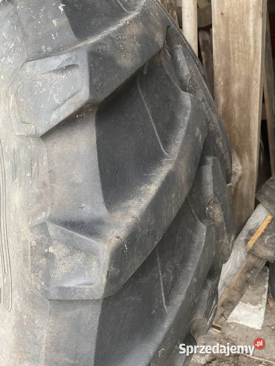 Opona 6006538 Góra Bałdrzychowska