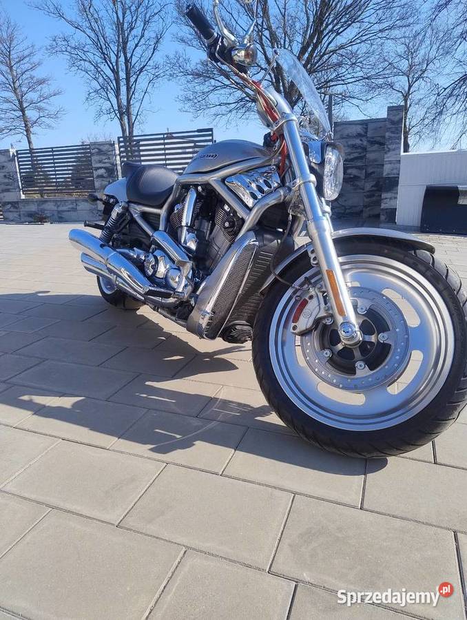 Harley Davidson vrod warmińsko-mazurskie Gołdap