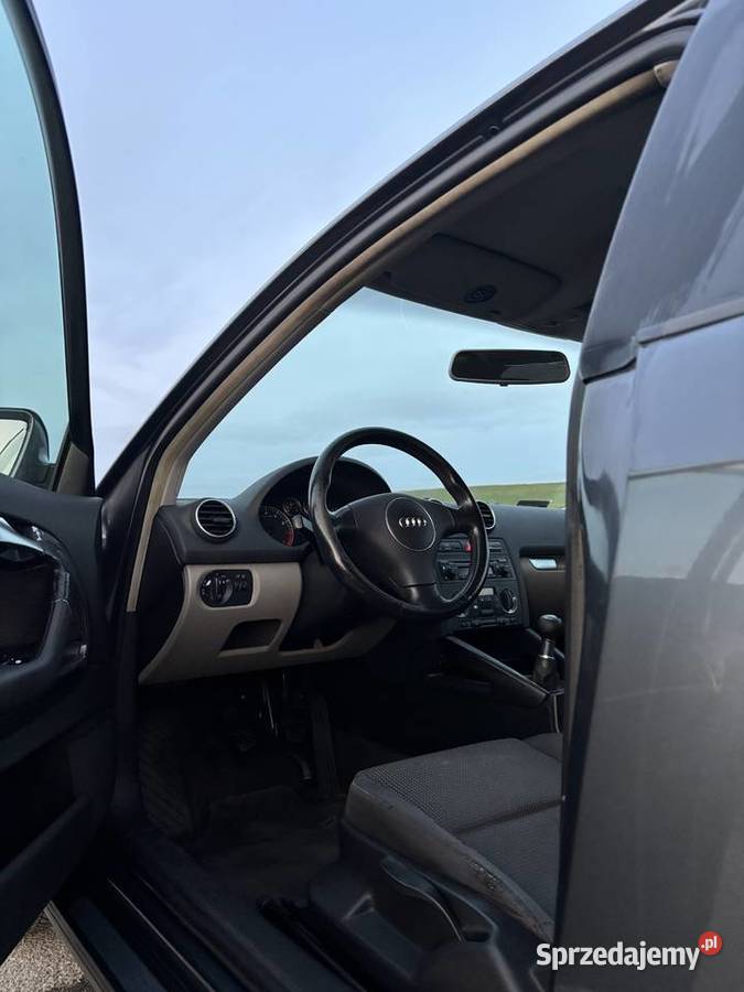 Audi a3 8p kompakt 16 mpi 102 2004r sprzedam