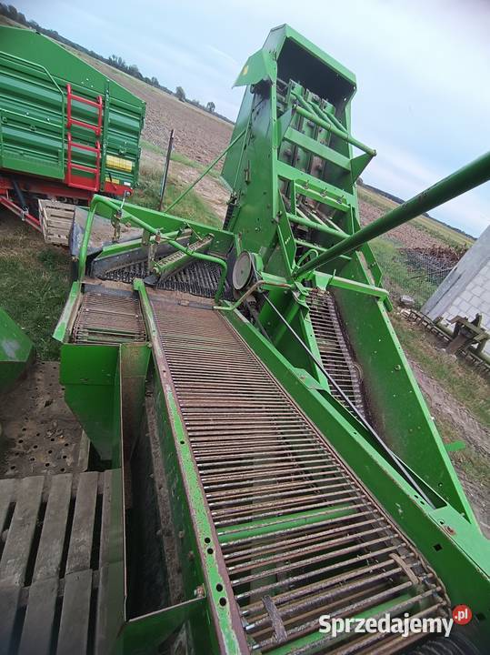 Kombajn do ziemniaków Wuhlmaus 1033 Lebiedziew