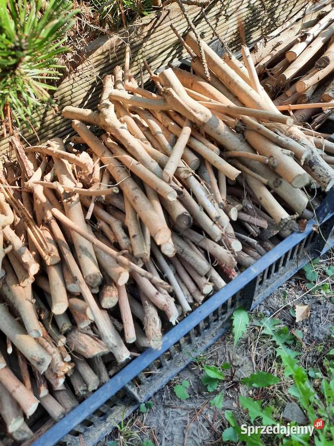 Drewno do kominka Kraków