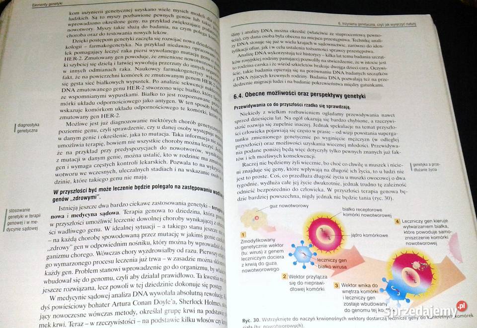 Biologia 2 Podręcznik Jacek Balerstet Ewa Chełm