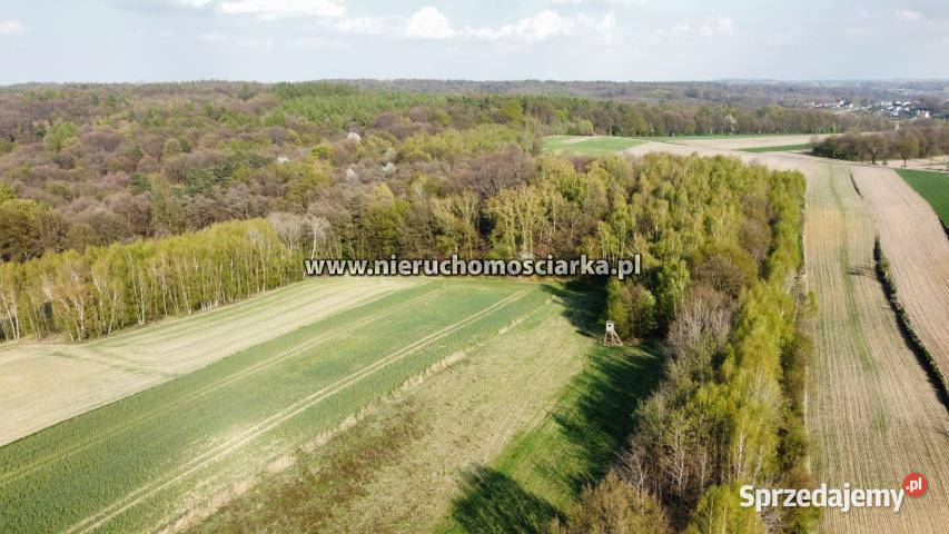 Działka do sprzedania 5100 metrów Lubomia