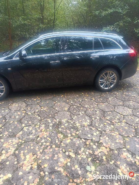 Opel Insignia sports tourer 20 CTDI Końskie