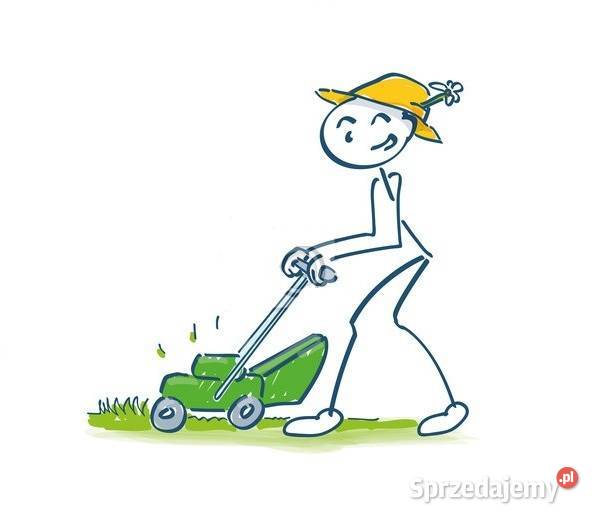 Koszenie trawy trawników