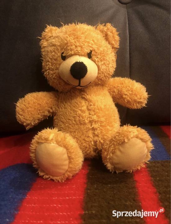 Niemowlęce pierwsze zabawki i miś Kłodawa sprzedam