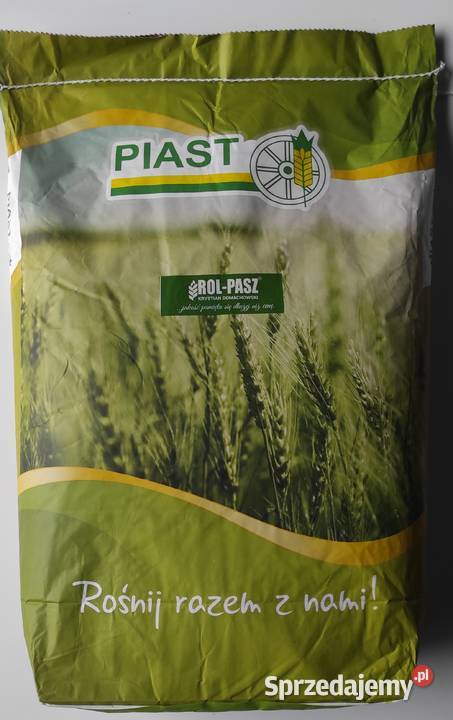 Kukurydza paszowa mlewnikowana kur kaczek drobiu