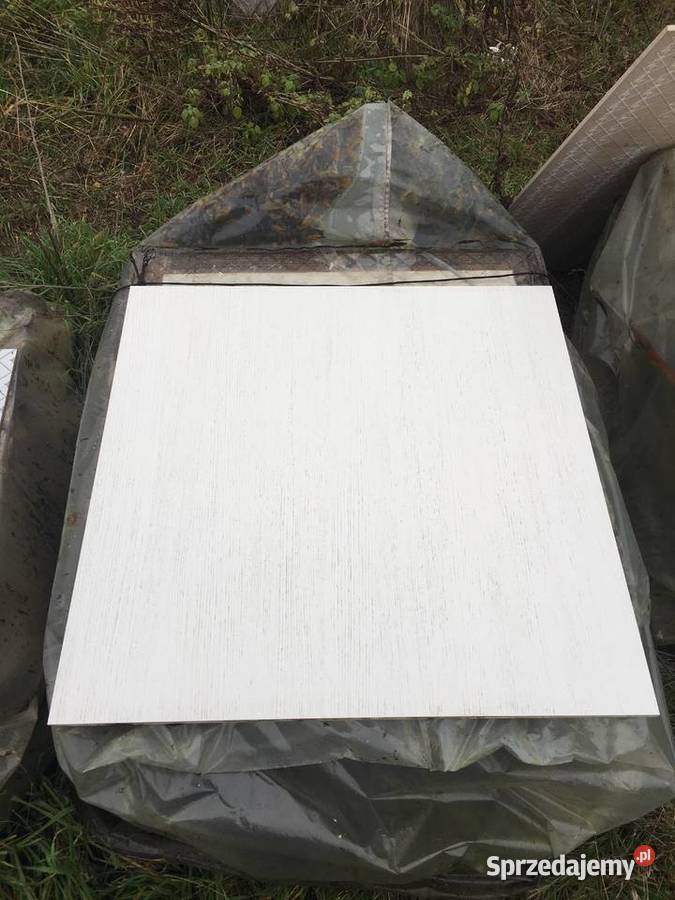 Gres P88480 firmy INALCO 80X80 Płytki podłogowe Reguły