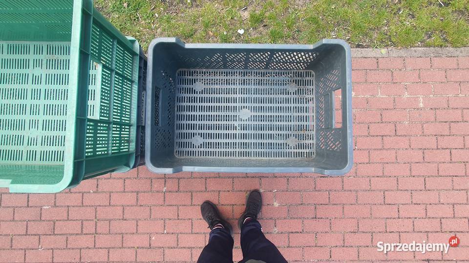 Skrzynki plastikowe na warzywa owoce nowe Pozostałe