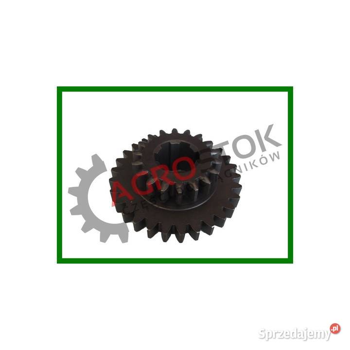 Koło zębate 229 z15 t25 Parczew