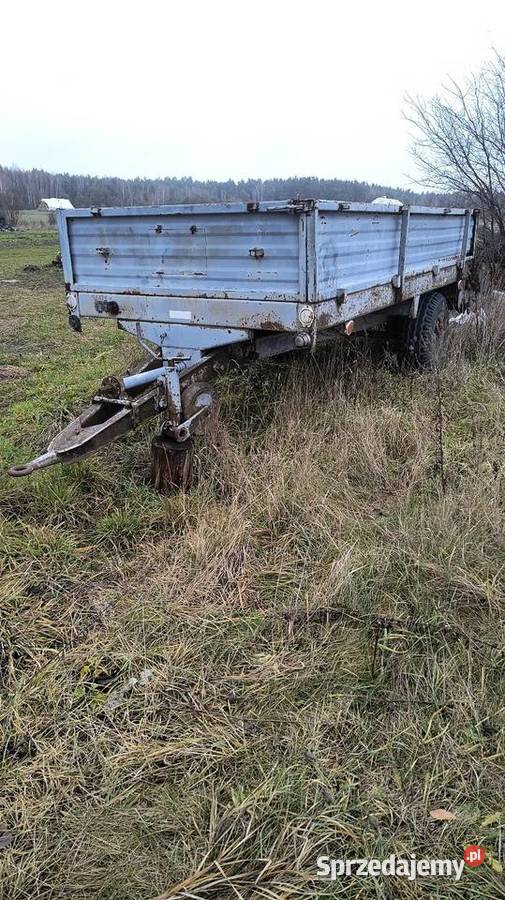 Rozrzutnik obornika czarnabiałystocka Wisznice