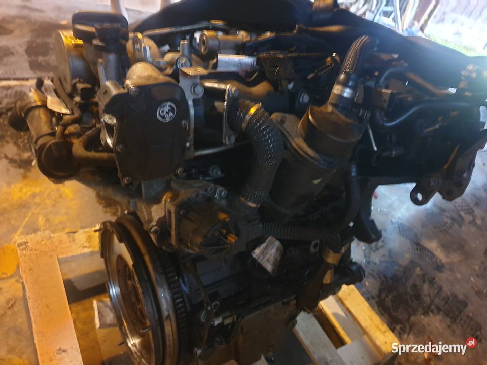 silnik opel insignia 20 dieseluszkodzony osobowe Wrocław sprzedam