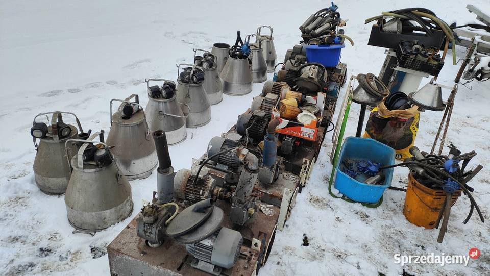 Sprzedam dojarke Alfa lawa Żarnów