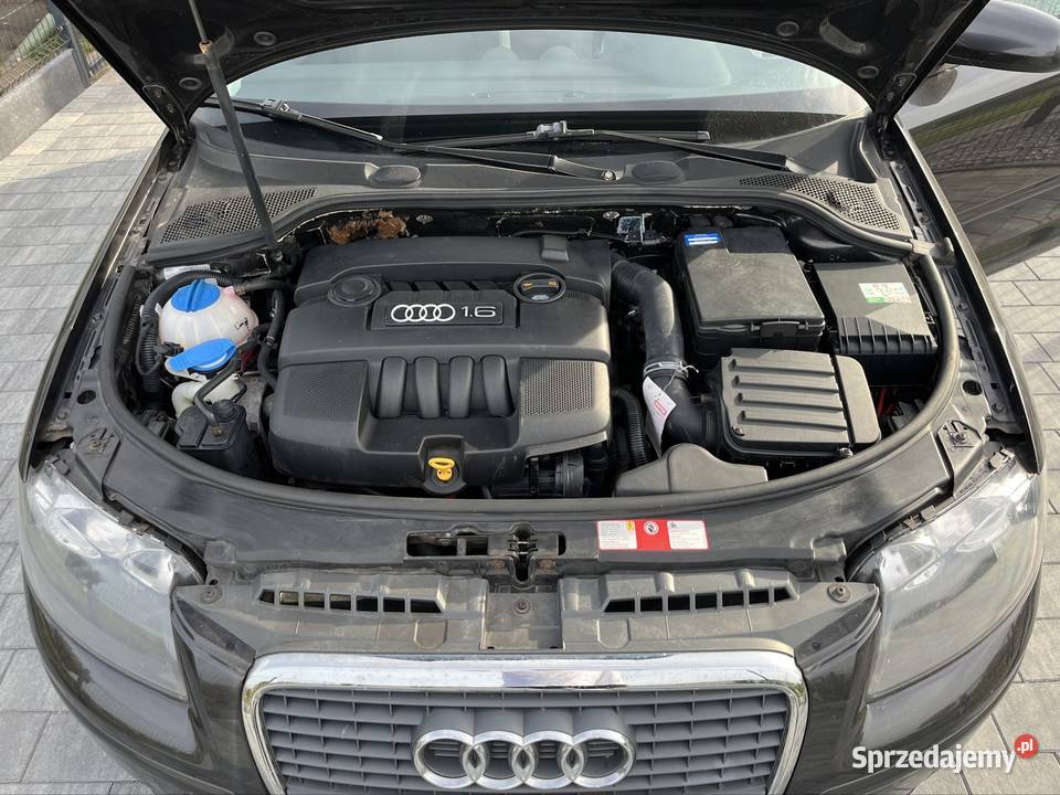 Audi A3 Benzyna 2003 Lubochnia