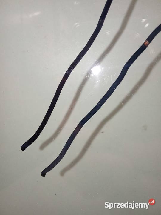 Szyba Przednia Skoda Fabia III 14 Sensor osobowe Przednie Bralin