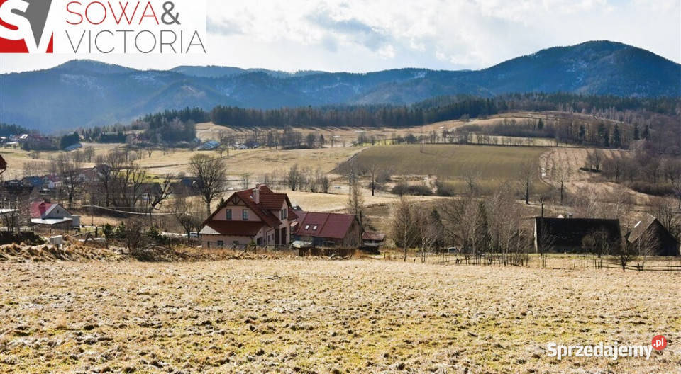 Słoneczna Widokowa Góry Sowie Sprzedaż dolnośląskie