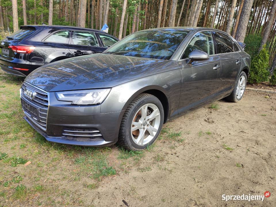 Audi A4 B9 20TDI 150 Automat Sedan Pełen serwis A4 Turek