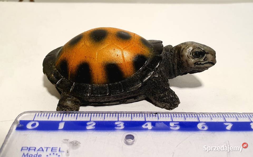 Zabawki figurki Żółw 3 lata+ Bydgoszcz sprzedam