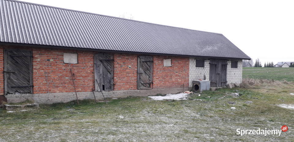 DOM 155m2 Budynek Gospodarczy 120m2 Działki 16500m2 Miastkowo sprzedam