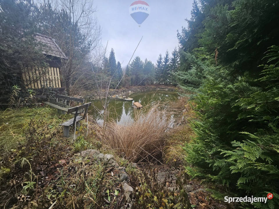 Działka Rod ze stawem do własnej aranżacji Michałów-Reginów