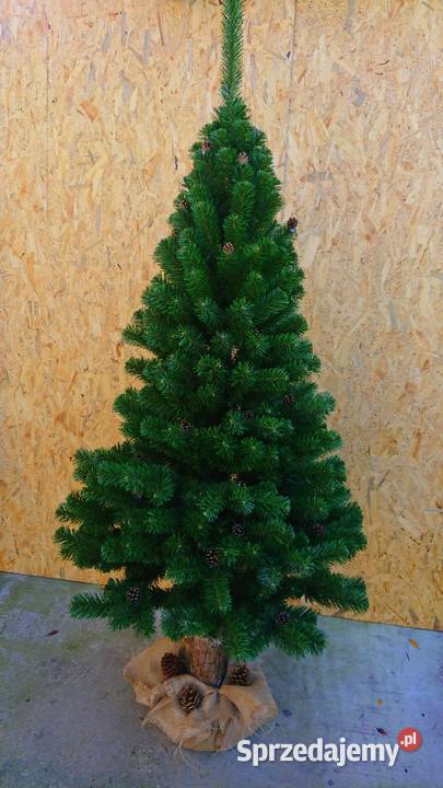 Choinka w donicy TUJA Wąska 160 NOWOŚĆ Wyposażenie wnętrz Gniazdów