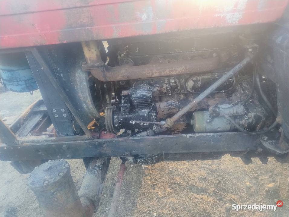 Ursus c385 na chodzie