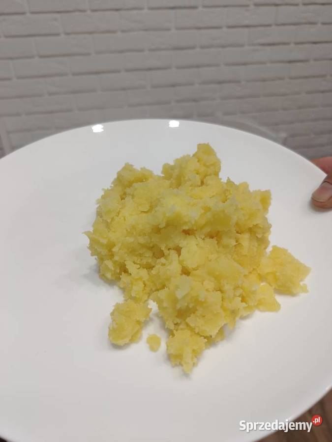 Ziemniaki wielkość sadzeniaka podlaskie Kleszczele