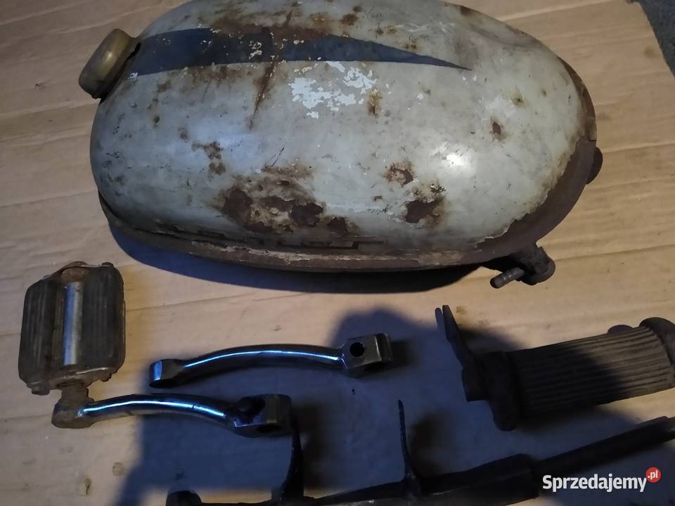 Żak ryś komar Pedał owiec pozostałość Kruszwica