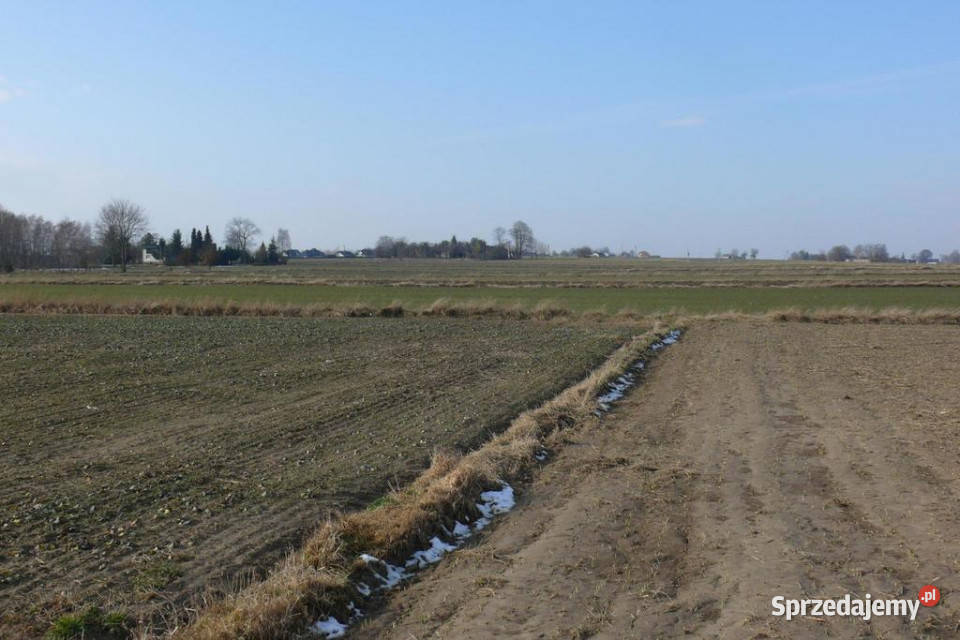 463arDZIAŁKA INWESTYCYJNA Osmolice Pierwsze sprzedam
