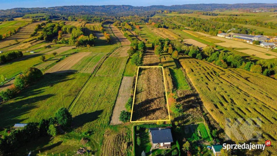 Działka Zahutyń 1500m2 79zł/m2 sprzedam