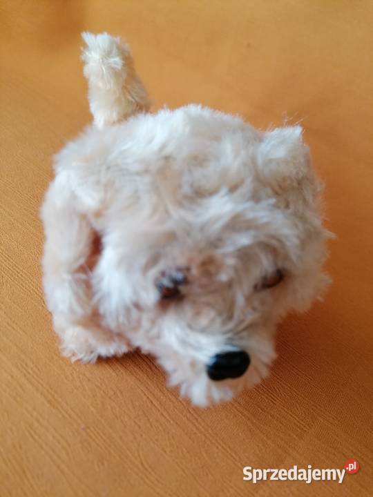 Piespiesek interaktywnyZabawkaPies chodzi