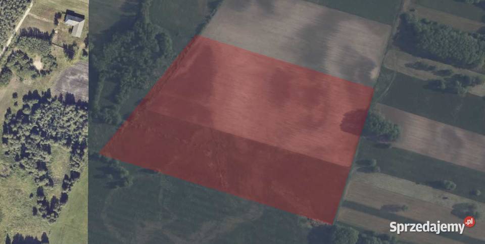 Młyny Piekarskie gmDobradziałka rolna na Sprzedaż wielkopolskie