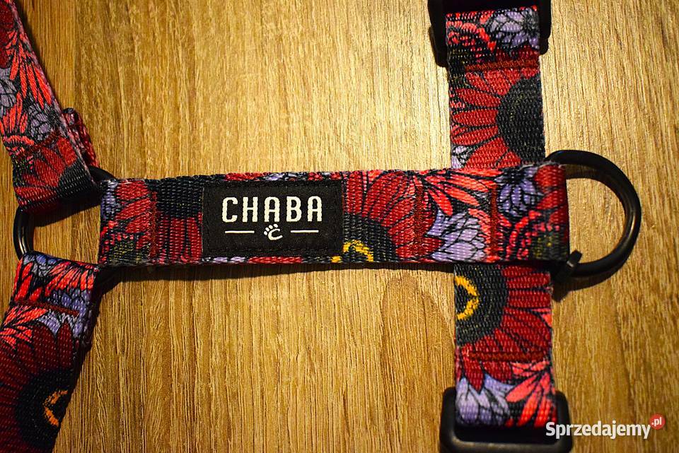 Szelki psa z serii Story Carnival marki Chaba