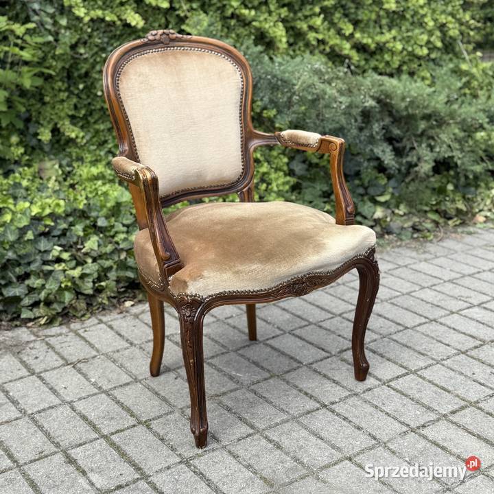 ARTexpert Wygodny Pałacowy fotel Ludwik welur Dobrzany