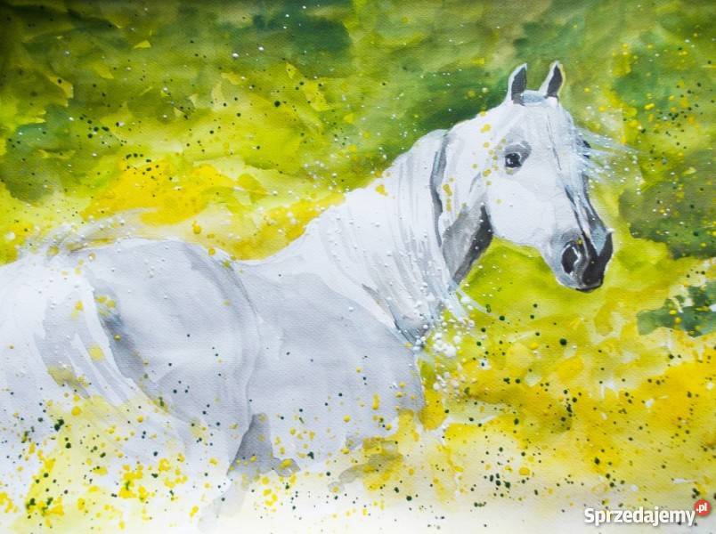 Na łące obraz akwarelami artystki plastyka śląskie Katowice sprzedam