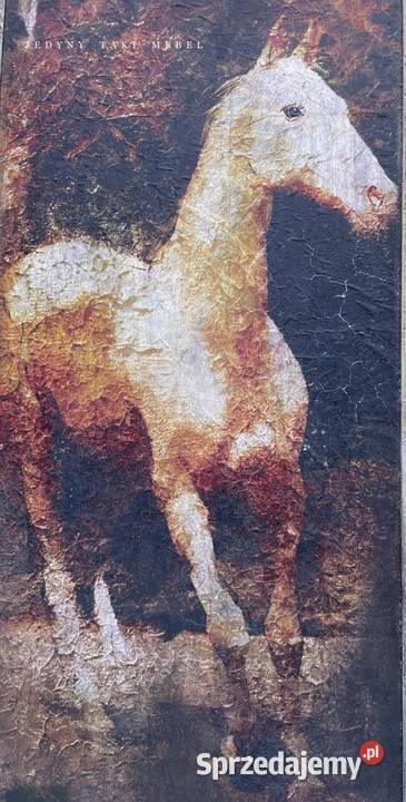 Szafa vintage jednodrzwiowa shabby chic podkarpackie Przeworsk