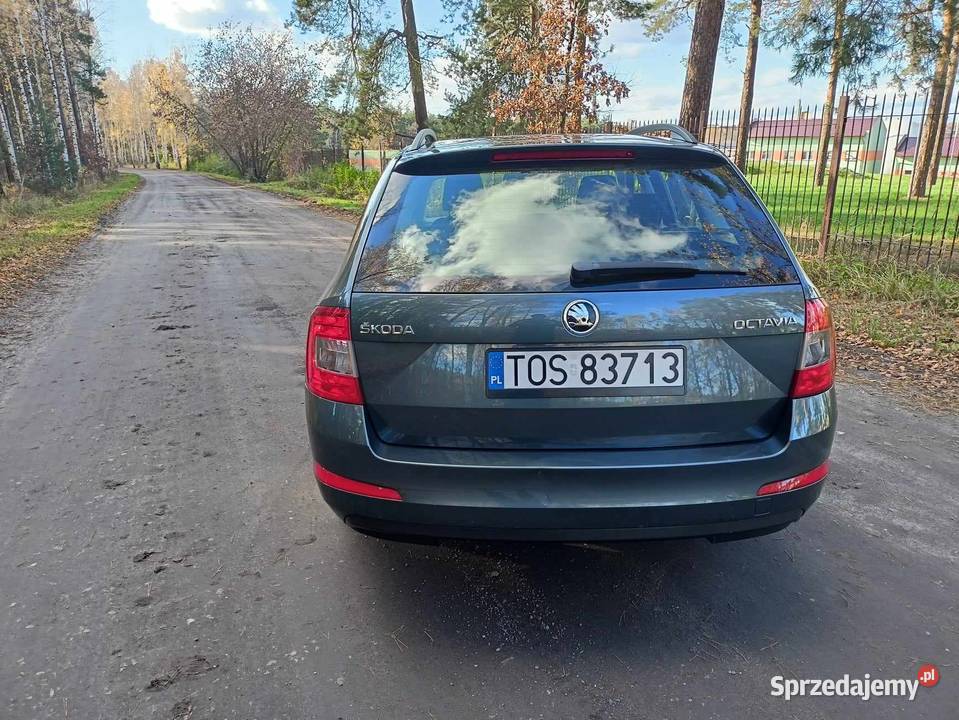 Skoda Octavia 16 TDI Active 105KM Octavia Starachowice sprzedam