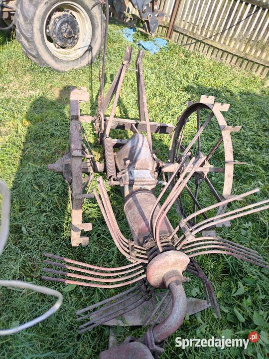 Kopaczka kopiarka podkarpackie Stara Jastrząbka