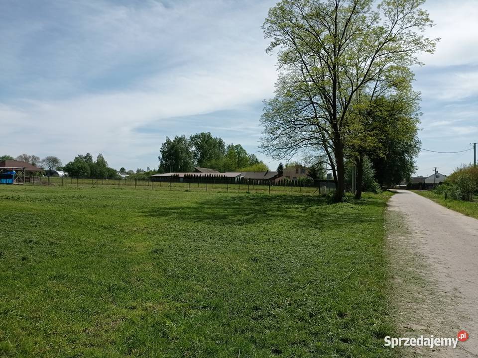 Sprzedam działkę budowlaną 3800 m2 Wola 115m Wola Brudnowska