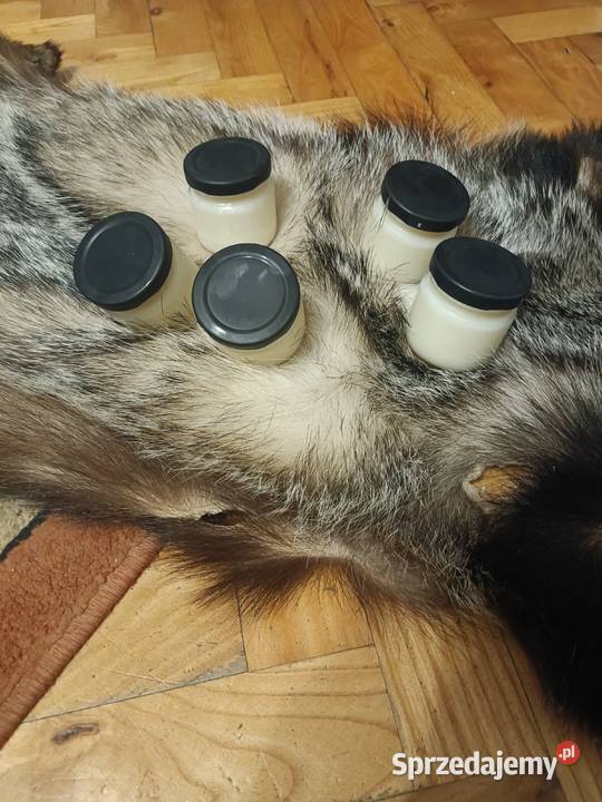 Sadło z borsuka Jeżowe